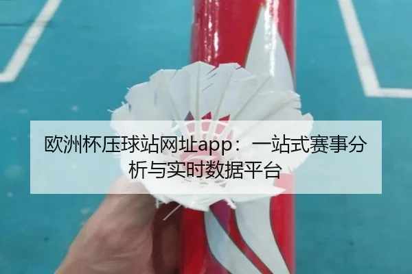 欧洲杯压球站网址app：一站式赛事分析与实时数据平台